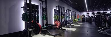 Zachary David Fitness
